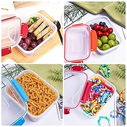 Moretoes 10pcs Food Storage Containers with Lids