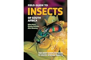Field Guide to Insects of South Africa: The most complete guide to South African insects (Struik Nature Field Guides)