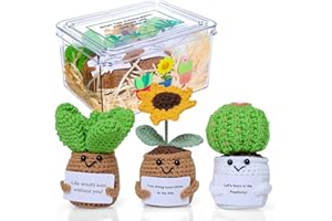 MSEHKM 3PCS Handmade Encouragement Crochet Succulent Knitted Cactus Kit with Encouraging Card for Adults Friends Room Office Desktop Decor