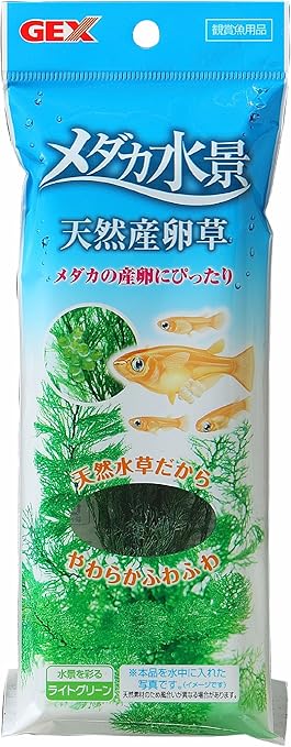Amazon ジェックス メダカ水景 天然産卵草 ジェックス 人工水草 通販