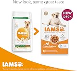 IAMS Adult Large Dry Dog Food Chicken 3kg DentalCare System Wheat Free view 2