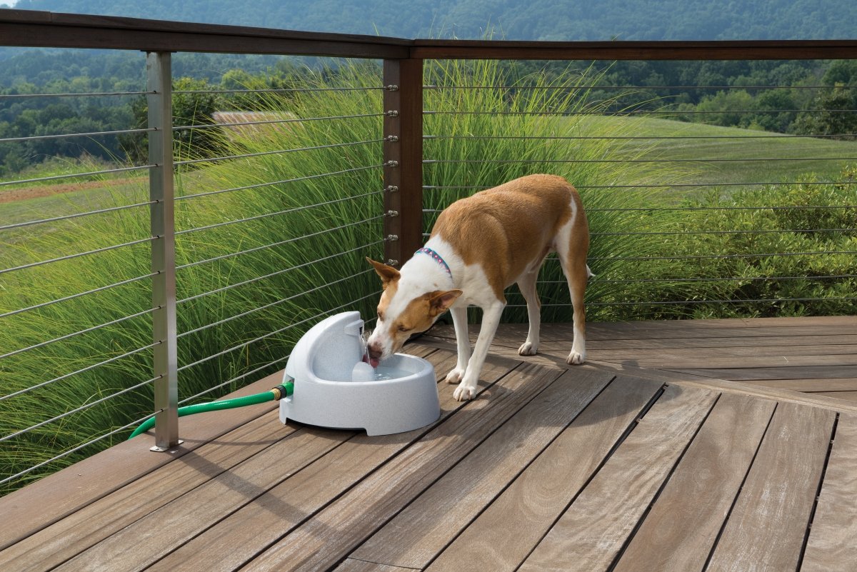 PetSafe Drinkwell Everflow Indoor/Outdoor Dog and Cat Water Fountain, 192 oz.