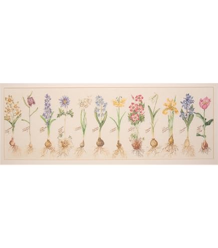 ayaオーダーページ Thea Gouverneur - Counted Cross Stitch Kit - Japan - Aida