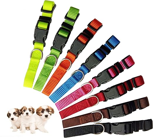 puppy id collars