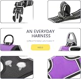 HEELE Dog Harness No Pull Small Reflective Front Back Leash Attachments Purple S view 5