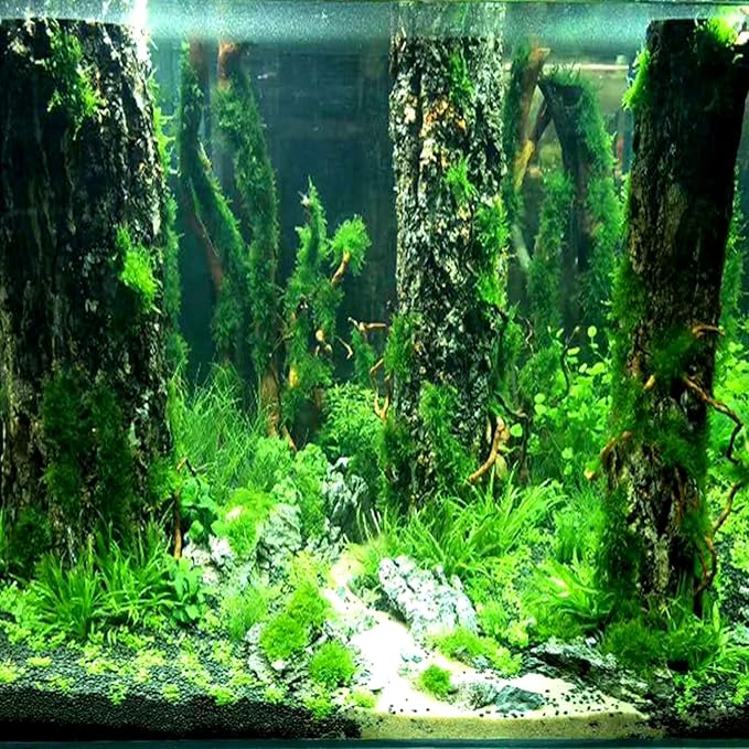 Amazon Topdirect アクアリウム オーナメント 装飾 水槽用 レイアウトメダカ隠れ家 約11cm 約7 5cm 約27 5cm 木の直径 約5 5cm Topdirect オーナメント 通販