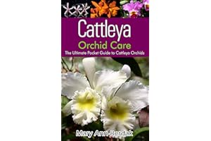Cattleya Orchid Care: The Ultimate Pocket Guide to Cattleya Orchids