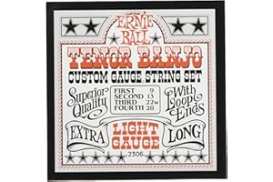 Ernie Ball 2306 Tenor Banjo Light Stainless Steel Loop End Set (09-28)