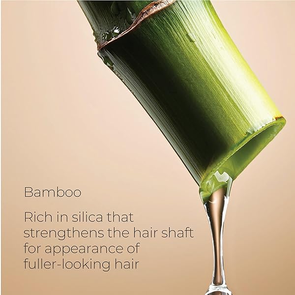 L’ANZA HEALING VOLUME THICKENING SHAMPOO, BOOSTS SHINE, VOLUME, AND THICKNESS FOR FINE AND FLAT HAIR, RICH WITH BAMBOO BODIFYING COMPLEX AND KERATIN (10.1 FL OZ)
