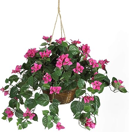 Amazon.com: Nearly Natural 6608 24in. Bougainvillea Hanging Basket Silk Plant,Beauty,10.25" x 10.25" x 17.5": Home & Kitchen
