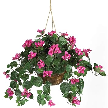 Buy Nearly Natural 6608 Bougainvillea Hanging Basket Decorative Silk Plant Beauty Online At Low Prices In India Amazon In