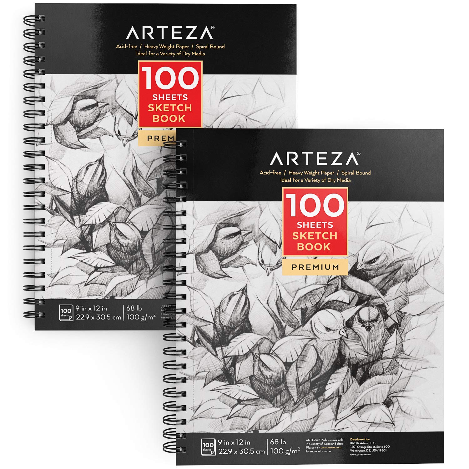 ARTEZA 22.9 x 30.5 cm Sketch Book 2 Pack, 200 Pages Total, Two Spiral Bound Artist Sketch Pad, 100 Sheets Each, Durable Acid Free Drawing Paper (100gsm), Art Supplies for Teens & Adults