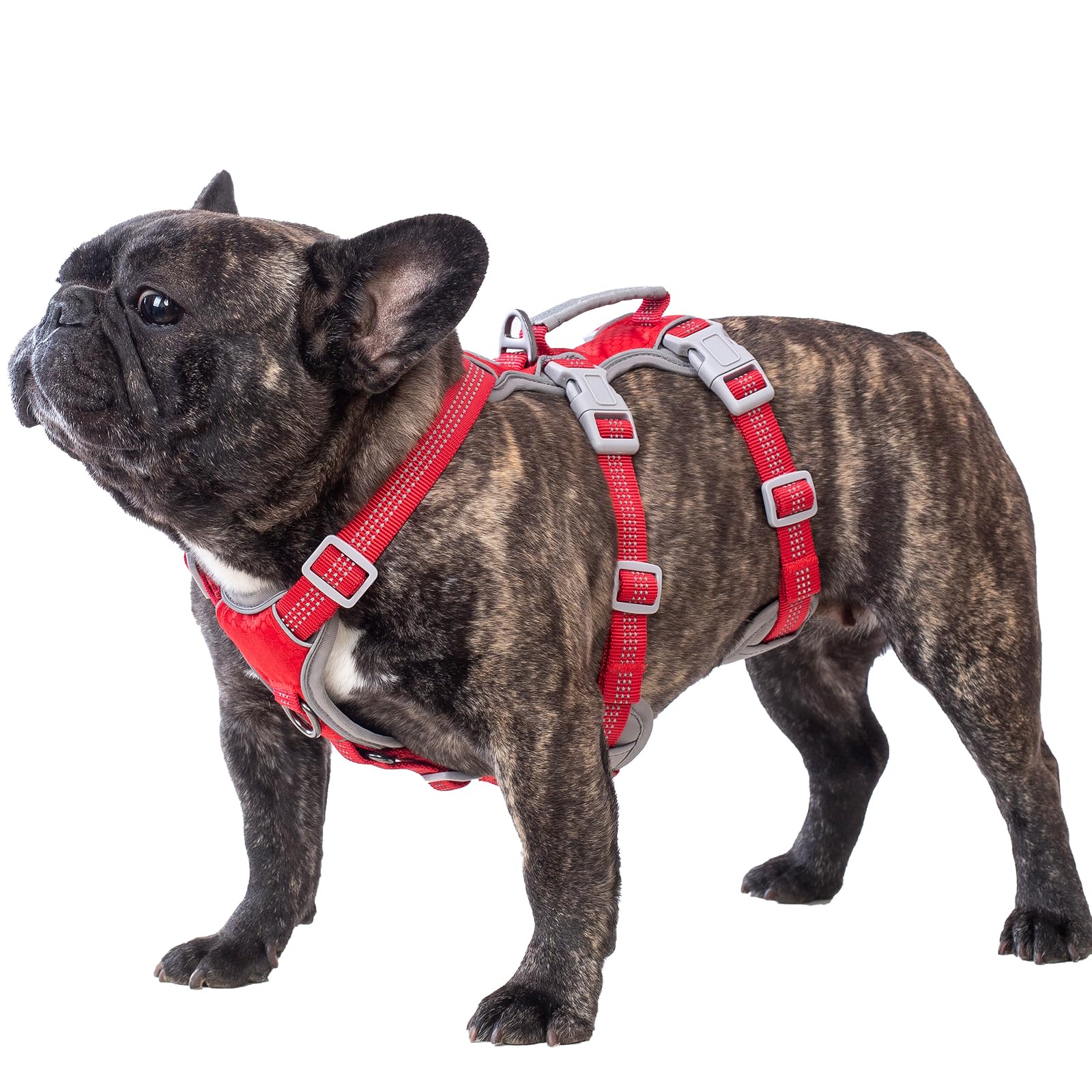 Huntboo Escape Proof Dog Harness Medium, Anti-Pull Dog Harness with Handle, Breathable, Adjustable Dog Harness Small, Reflective Harnesses for Large Dogs Outdoor, Walking, Training (Red, S)