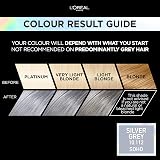 L'Oréal Paris Preference Vivids Silver Grey 10.11 Permanent Hair Colour 1 pack view 2