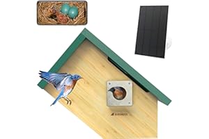 Birdkiss Smart Bird Houses for Outside Solar Powered, 1080P HD Live View Birdhouse with Camera, Perfect Viewing Bird Nesting and Hatching, Ideal Outdoors Bird House for Blue Bird and Cardinal (Green)