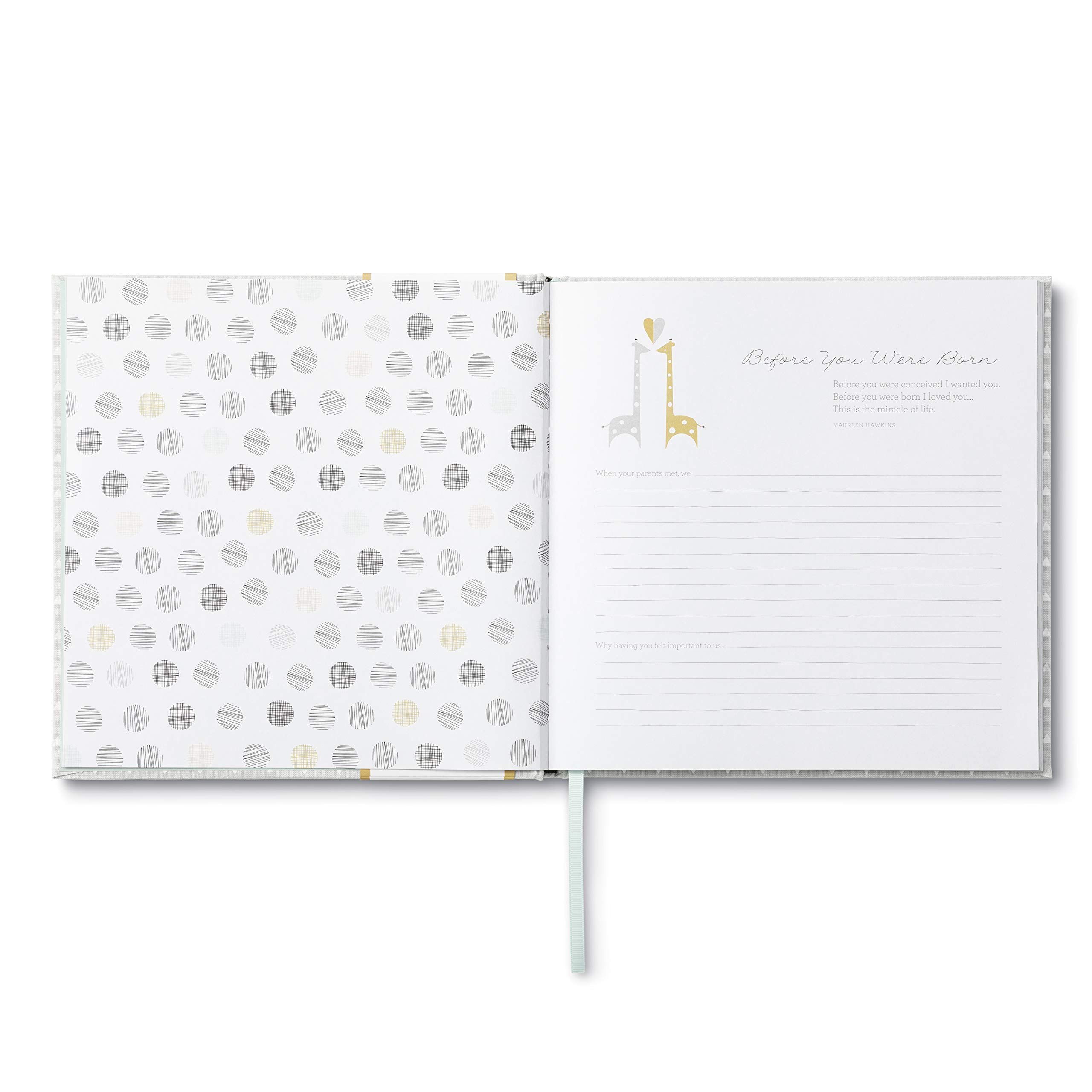 hello little one baby book