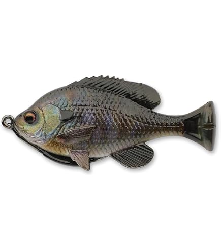 Savage Gear Fat Tail Spin Fishing Bait, 4/5 oz, Clown, Realistic Contours, Colors and Movement, Designed for Long Casting, Extremely Versatile : Sports & Outdoors