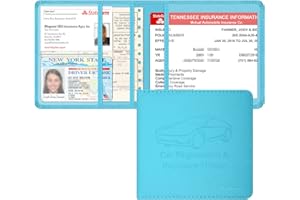 Techion Car Insurance and Registration Holder, 5.5 x 5 Inch PU Leather Vehicle Glove Box Organizer Wallet Case for Insurance Card, Driver License, Paperwork - Mint Green