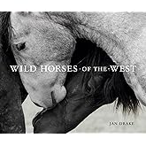 Wild Horses of the West (Wild in the West)