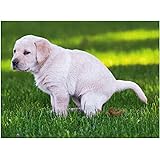 KwirkWorks Funny Jigsaw Puzzle - Poopin' Pooch Dog - 1000 Piece - Puzzles Make Great Gag Gifts