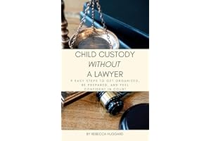 Child Custody Without a Lawyer: 9 Easy steps to Get Organized, Be Prepared, and Feel Confident in Court