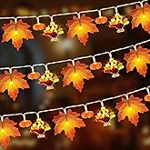 Mosoan [Timer] Fall Thanksgiving Turkey Lights Decorations, 10FT 30LED Large Turkey Pumpkin Maple Leaf String Lights, Battery Operated Fall Lights Decor Thanksgiving Decorations Indoor Home Party