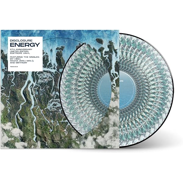 Amazon.com: Settle[2 LP]: CDs & Vinyl