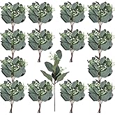 Apexom 64 PCS Artificial Greenery Stems,Silver Dollar Eucalyptus Stems with 384 Eucalyptus Leaves White Seed Branches for Flower Arrangements,Wedding Bouquets