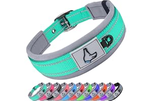 Joytale Dog Collar for Large Dogs, Neoprene Padded and Adjustable, Reflective Wide Heavy Duty Pet Collars with Durable Metal Belt Buckle for Walking, Teal, L
