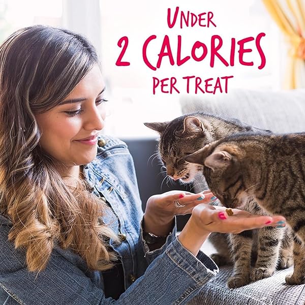 FRUITABLES CAT TREATS, HEALTHY TREATS FOR CATS, LOW CALORIE AND PACKED WITH PROTEIN, CRUNCHY BISCUITS, NO WHEAT, CORN OR SOY, MADE WITH REAL SALMON AND CRANBERRY, 2.5OZ