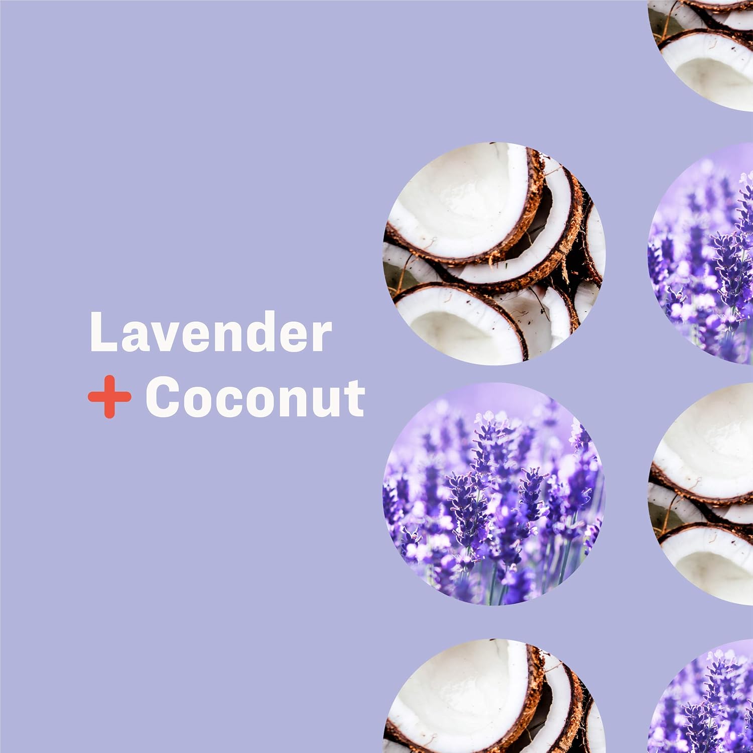 Everyone Hand Soap: Lavender and Coconut, 12.75 Ounce, 3 Count : Beauty