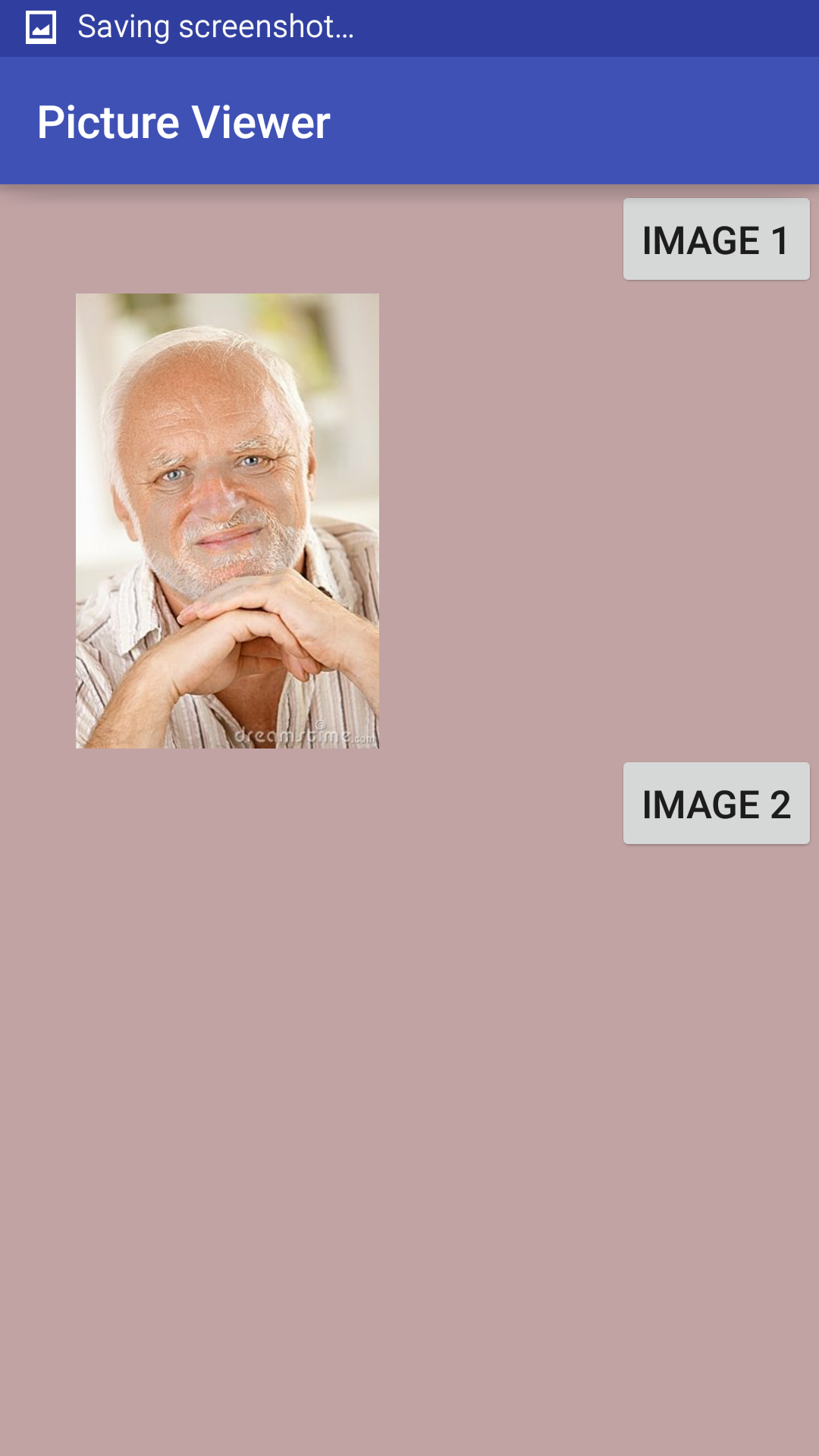 Picture Viewer Pricepulse