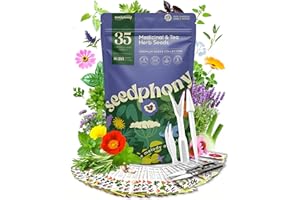 Seedphony 35 Medicinal & Tea Herb Seeds Variety Pack - 16,285+ Non-GMO Heirloom Herbs Seeds for Planting Indoor & Outdoor: Lavender, Rosemary, Echinacea, Mint, Catnip, Basil - Gardening Seed Packets