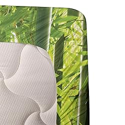 Ambesonne Forest Sheet Set, Exotic Tropical Asian