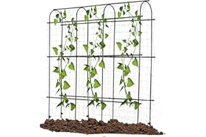 YOTOWORTH Garden Trellis for Climbing Plants Outdoor | Metal Plant Support Structure for Outdoor Vegetables/Fruits/Flowers VInes | Large Garden Arch Cucumber Trellis With Nylon Garden Netting, 6ft x 6 ft, Black