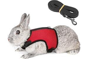 Pettom Bunny Rabbit Harness with Stretchy Leash Cute Adjustable Buckle Breathable Mesh Vest for Kitten Small Pets Walking (L(Chest:10.6-13.3 in), Red)
