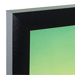 Craig Frames 20x27 Picture Frame Matted to 16x24