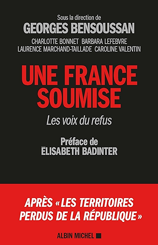 Download Une France soumise : Les voix du refus PDF