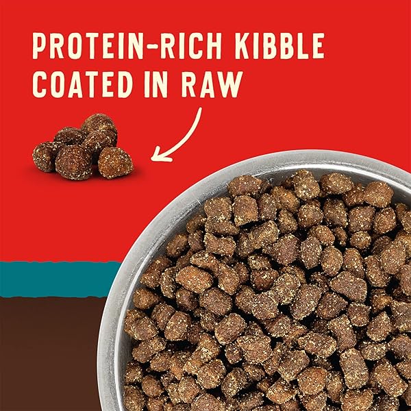 STELLA & CHEWY’S WILD RED DRY DOG FOOD RAW COATED HIGH PROTEIN GRAIN & LEGUME FREE OCEAN RECIPE, 3.5 LB. BAG