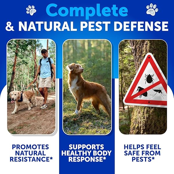 FLEA AND TICK PREVENTION FOR DOGS CHEWABLES – NATURAL FLEA TREATMENT CONTROL – SUPPLEMENT FOR LARGE & SMALL DOGS WITH VITAMINS – IMMUNE SUPPORT CHEWS – PUPPY PEST DEFENSE ORAL PILLS – 70 SOFT TREATS
