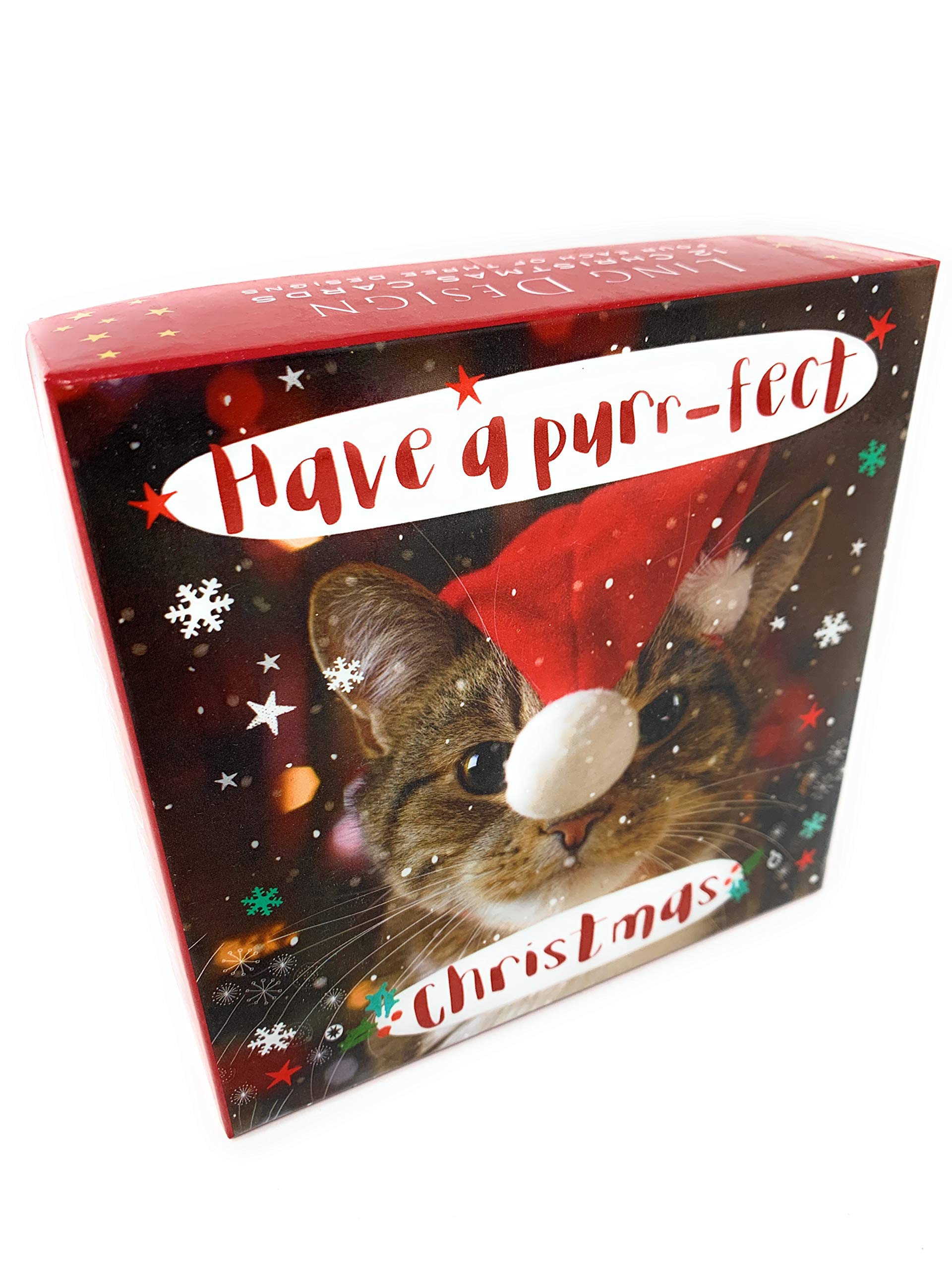 Quirky Animals Christmas Deluxe Box of 12 Assorted Matt Finish Cards by Ling Design XBD754