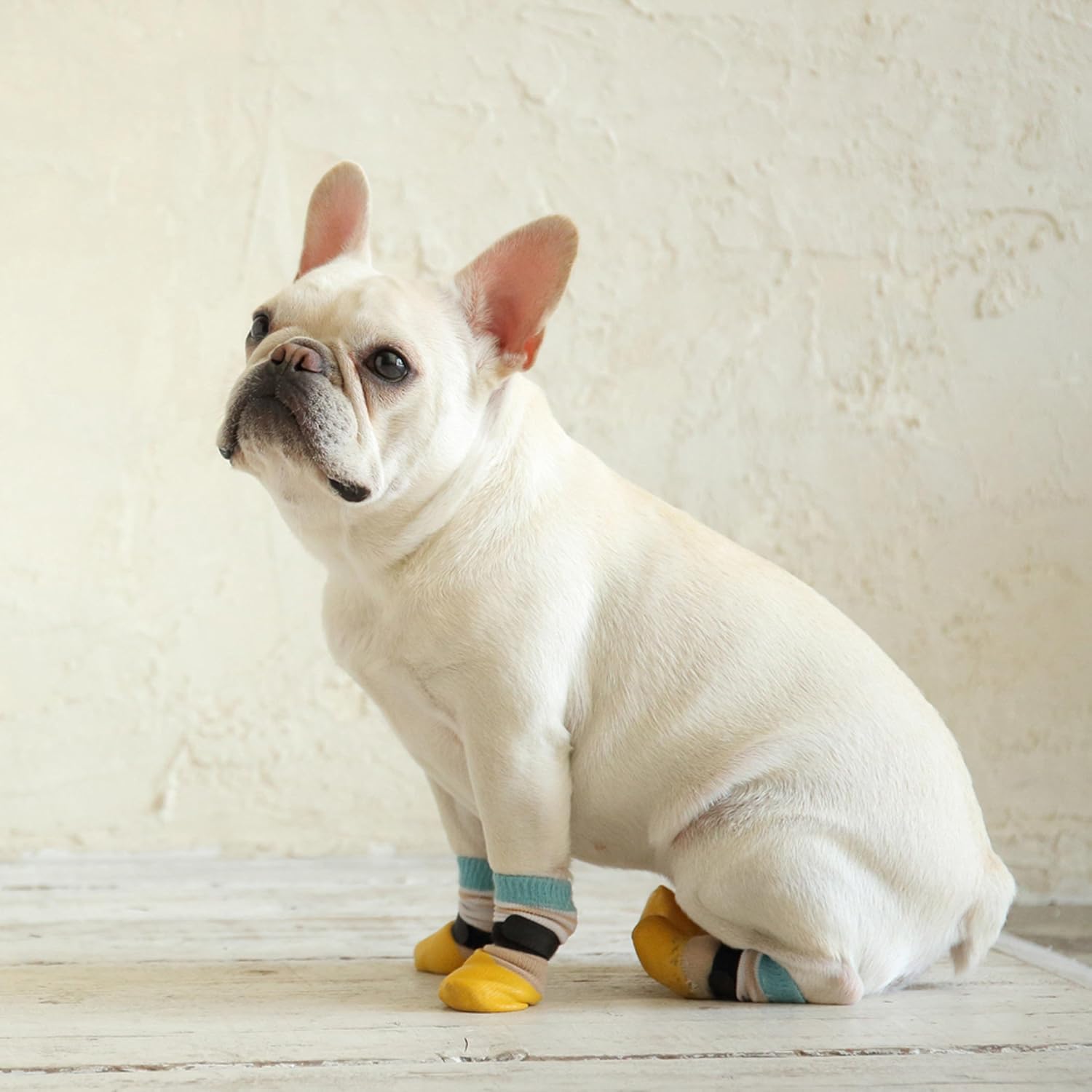 Amazon 犬用靴下 Skitter Plus フラミンゴピンク Xs 2個入り 獣医師監修 犬靴 靴下ブランド Docdog Docdog ドックドッグ ブーツ シューズ 通販 Amazon 犬用靴下 Skitter Plus フラミンゴピンク Xs 2個入り 獣医師監修 犬靴 靴下ブランド Docdog Docdog ドックドッグ ブーツ シューズ 通販