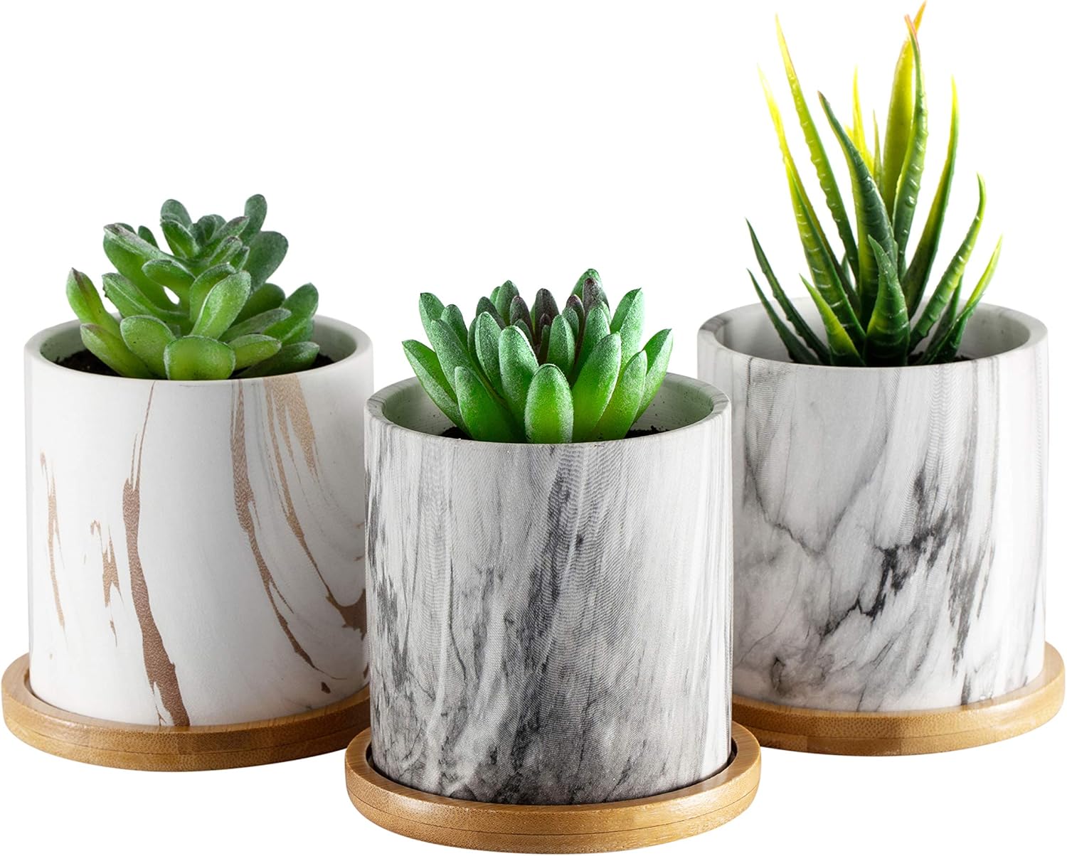 The 15 Best Pots for Succulents of 2023 Best Garden Tips