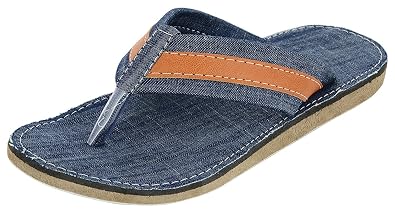 81FDKcgqs8L._UX395_.jpg