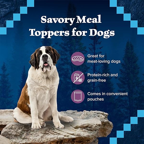 BLUE BUFFALO WILDERNESS TRAIL TOPPERS WILD CUTS WET DOG FOOD, HIGH-PROTEIN & GRAIN-FREE, MADE WITH NATURAL INGREDIENTS, CHUNKY BEEF BITES IN HEARTY GRAVY, 3-OZ. POUCHES, (24 COUNT)