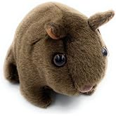 Aeisage Wombat Stuffed Animal 4.5" Plush Small Wombat Toys Cute Australian Souvenirs Tree Bear Gifts for Boys &amp; Girls Super Soft Stuffed Colah