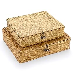 Hipiwe Set of 2 Flat Woven Wicker Storage Bins with