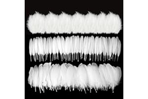 Lot de 300 plumes d'oie blanche pure pour travaux manuels, 3 styles, plumes d'oie blanches pures pour loisirs créatifs, chape