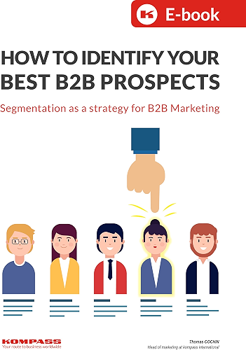 Download How To Identify Your Best B2B Prospects: Segmentation as a strategy for B2B marketing (English Edition) PDF