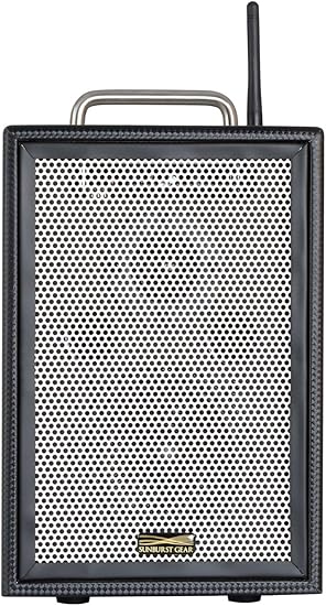 portable all in one speaker